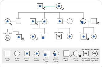 Genogram Maker Free Mac