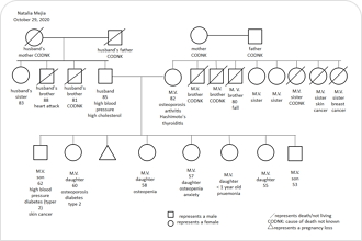 genogram maker free without watermark