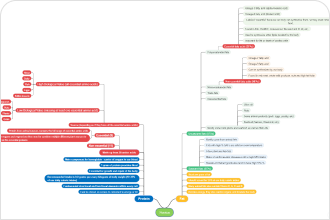 Online-Mindmap