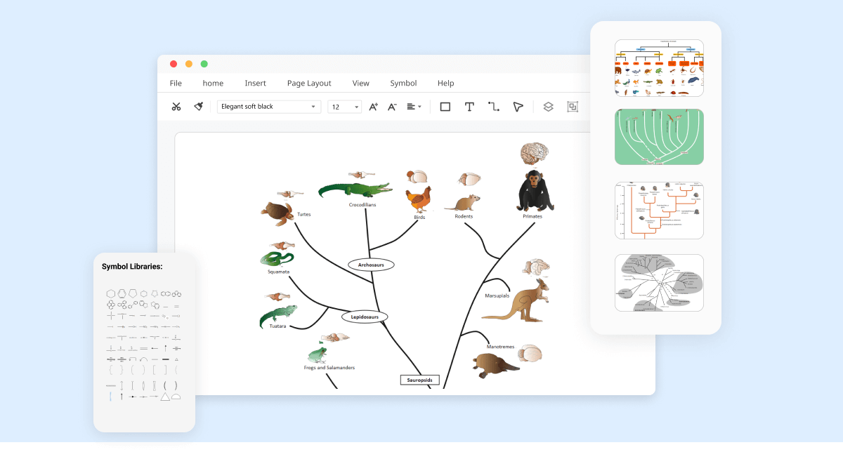 Free Online Phylogenetic Tree Maker | EdrawMax Online