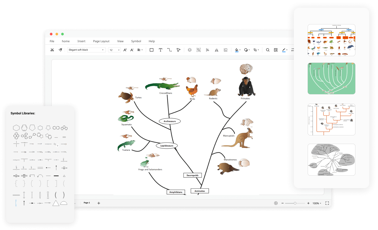 Free Online Phylogenetic Tree Maker | EdrawMax Online