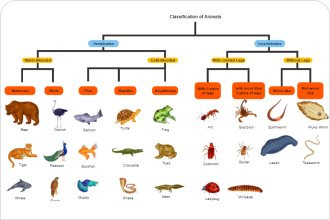 simple phylogeny