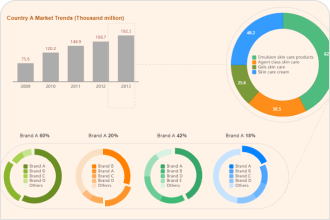 Credit Score Pie Chart