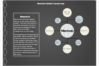 blank spider diagram