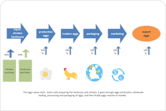 Value Chain Activities