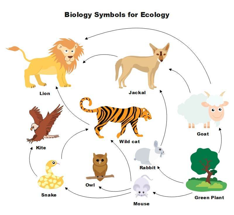 Biology Symbols for Ecology