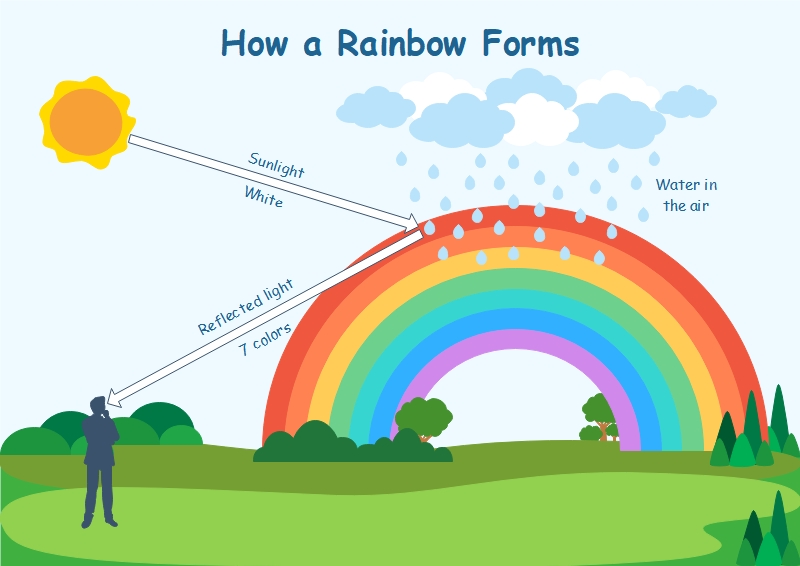 Free Blank Spider Diagram Template