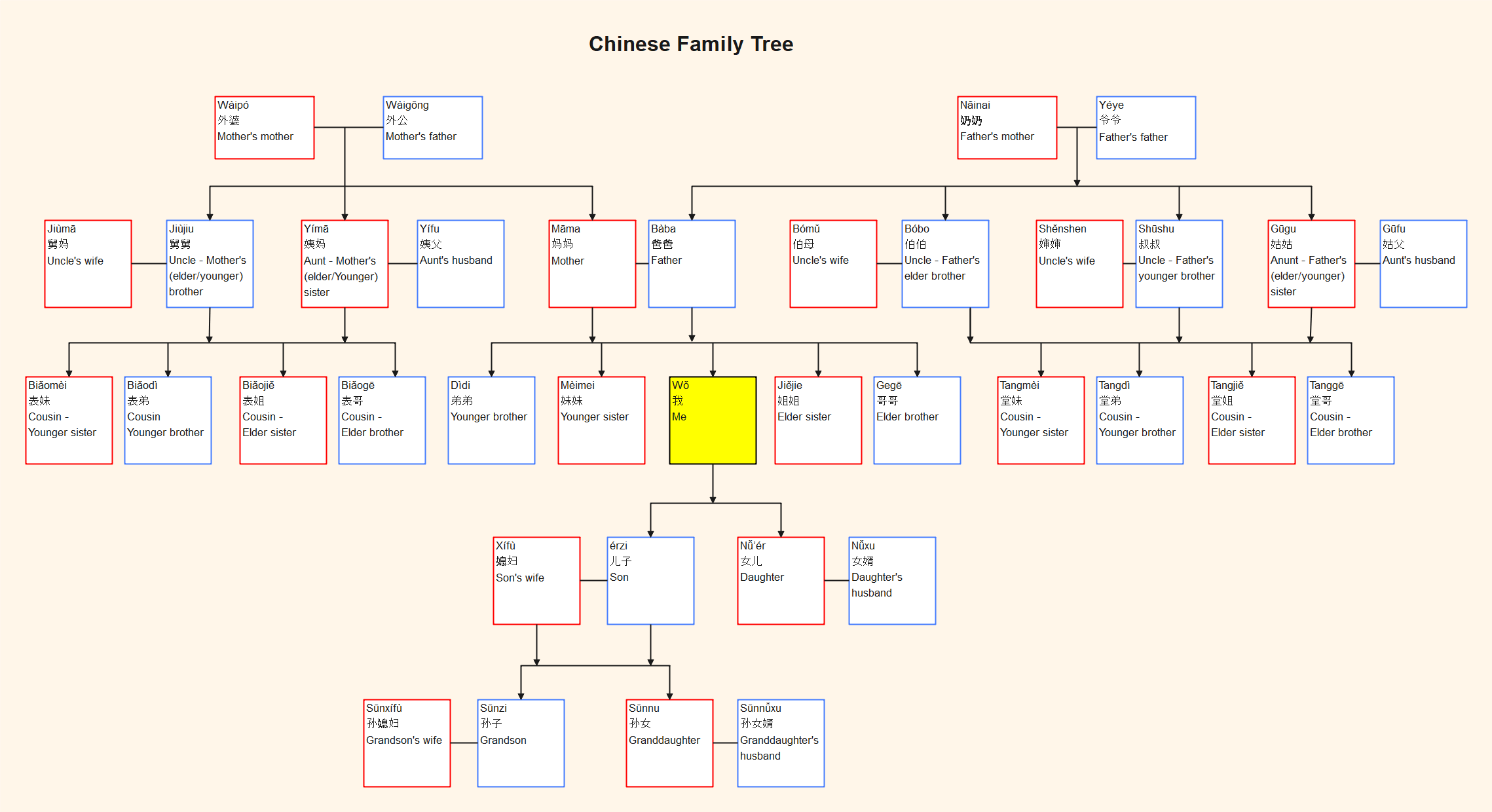 Chinese Family Tree