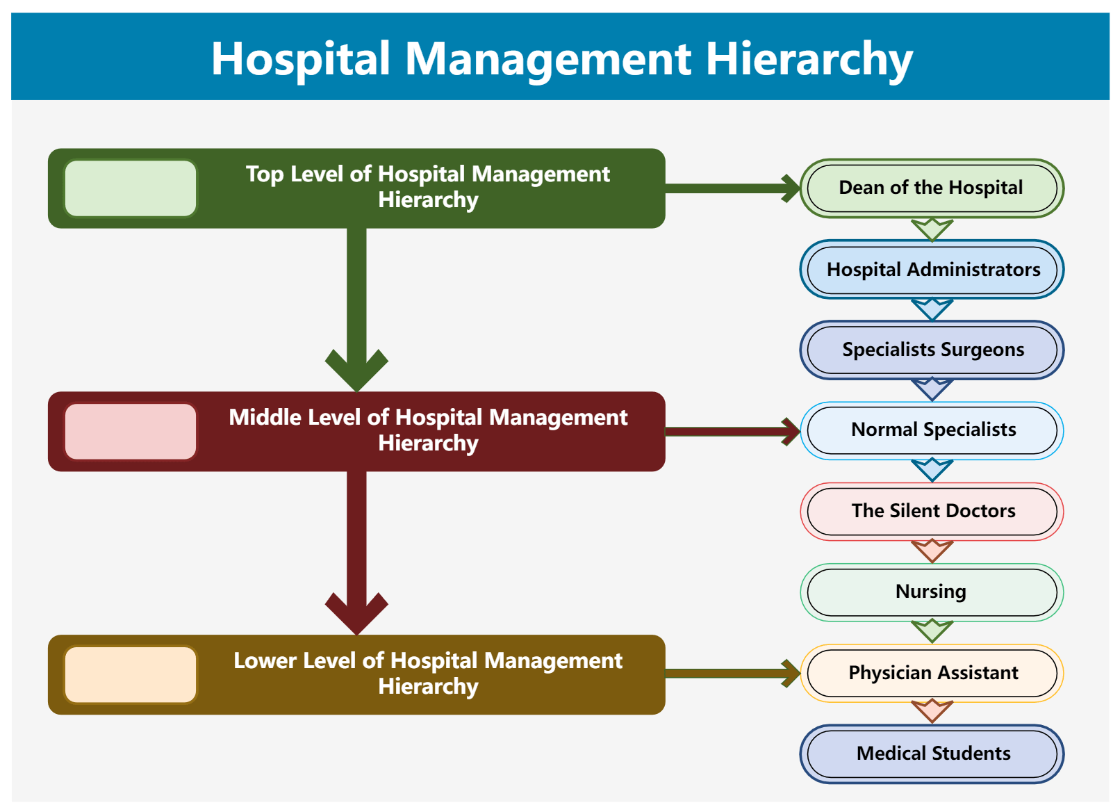 Hospital Organizational Chart Explained with Examples | EdrawMax Online ...