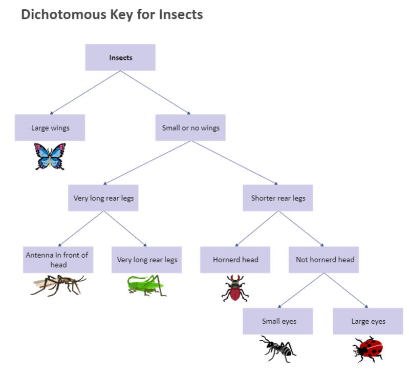 Science Diagram - Types, Examples and Tips