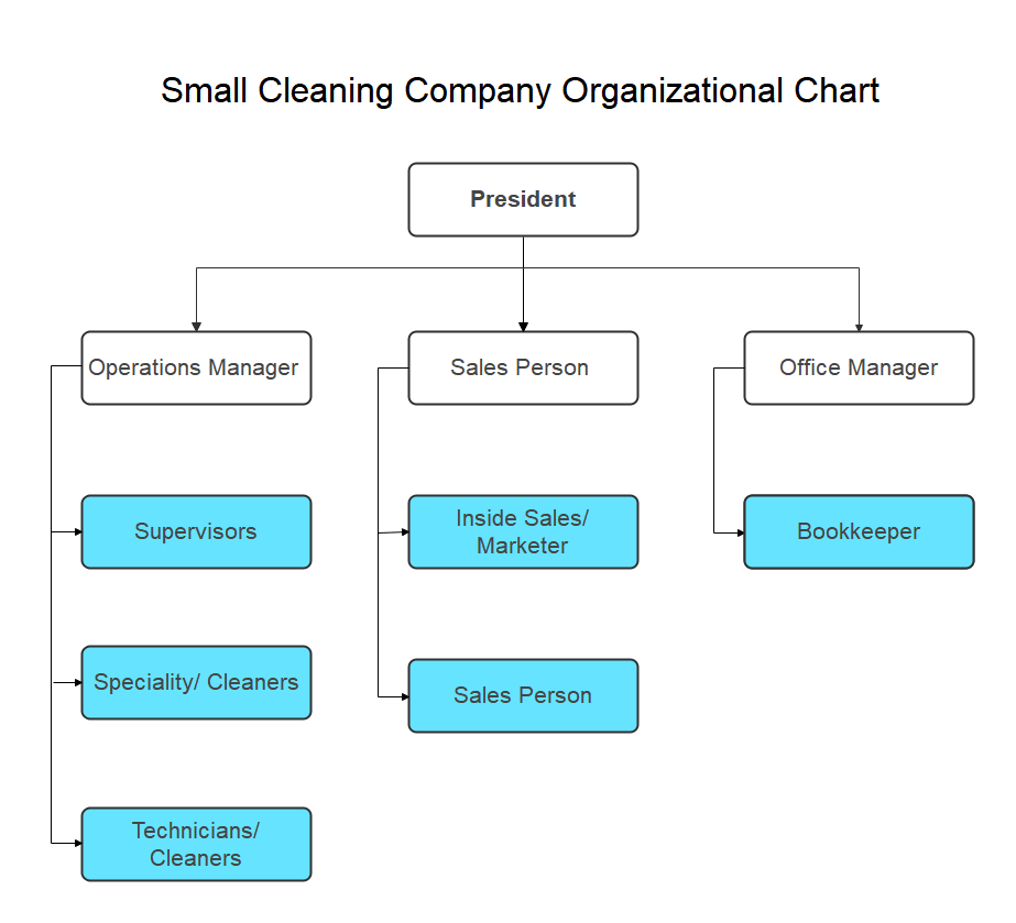 Small Cleaning Company Organizational Chart